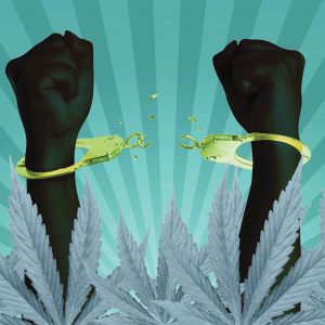 Social Equity in Cannabis