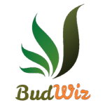 BudWiz Logo