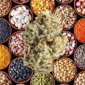 Cannabis Commodity