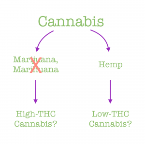 Cannabis - Marijuana, Marihuana - Hemp