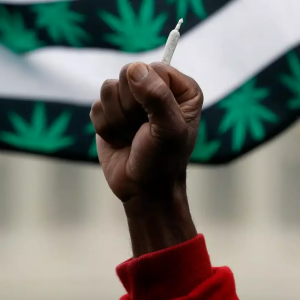 Black Power Fist - Cannabis Joint