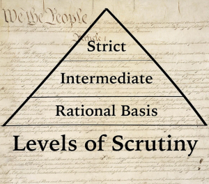 Constitution - Levels of Scrutiny