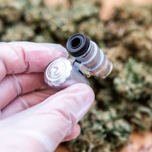 Handheld Cannabis Microscope