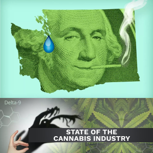 State of the Washington Cannabis Industry