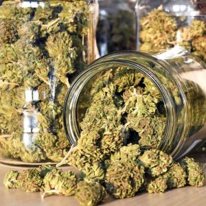 Cannabis in Glass