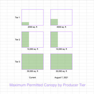 Maximum Permitted Canopy by Producer Tier