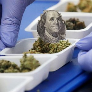 Cannabis Testing - Benjamin Franklin