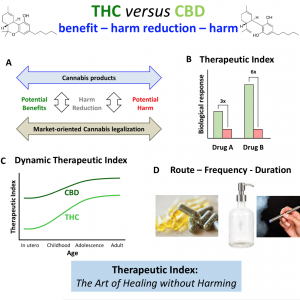 THC versus CBD - Dynamic Therapeutic Index