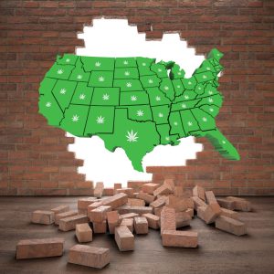 Crumbling Brick Wall - United States of Cannabis