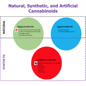 Natural, Synthetic, and Artificial Cannabinoids