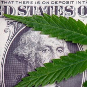 Cannabis Dollar