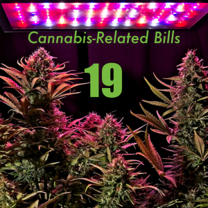 19 Cannabis-Related Bills