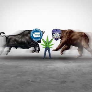 Bull vs. Bear