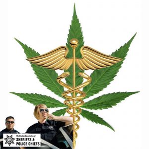 HB 1105 - Medical Cannabis - Law Enforcement