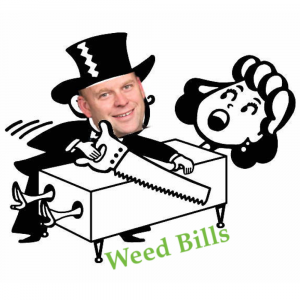 Weed Bills - Sawn In Half - Drew MacEwen