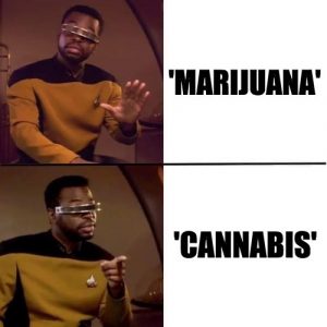 Geordi Laforge - Marijuana vs. Cannabis
