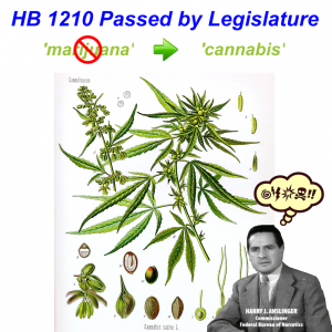 HB 1210 - Passed by Legislature - Marijuana to Cannabis - Harry Anslinger