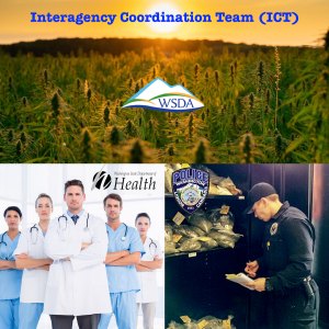 Interagency Coordination Team (ICT)