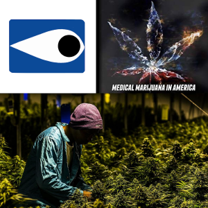 Eye - Medical Marijuana in America - Black Grower