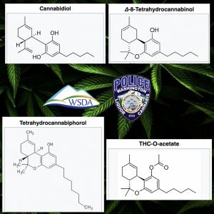 Cannabinoid Regulation - CBD - D8 - THCP - THC-O-Acetate