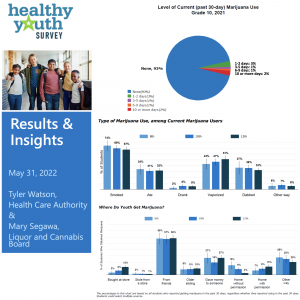 Healthy Youth Survey 2021 Results