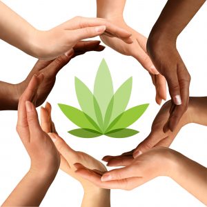 Social Equity and Cannabis