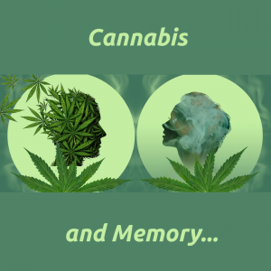 Cannabis and Memory...