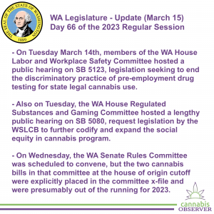 WA Legislature - Update (March 15, 2023) - Takeaways