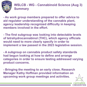 2023-08-03 - WSLCB - Work Group - Cannabinoid Science - Public Meeting - Summary - Takeaways
