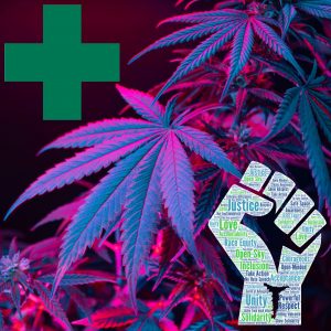 Cannabis Leaves - Medical - Green Cross - Social Equity