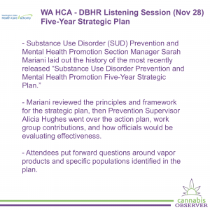2023-11-28 - WA HCA - DBHR Listening Session - Five-Year Strategic Plan - Takeaways