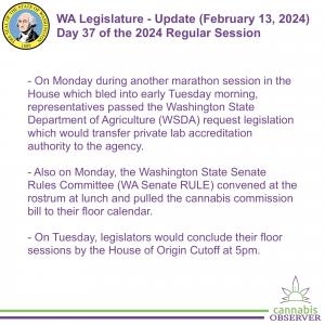 WA Legislature - Update (February 13, 2024) - Takeaways