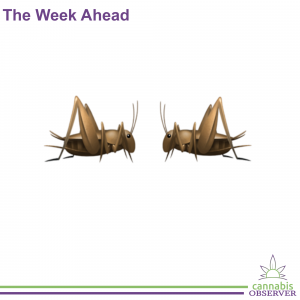The Week Ahead - Crickets