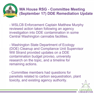 2024-09-17 - WA House RSG - Committee Meeting - DDE Remediation Updates - Takeaways