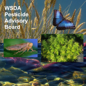 WSDA Pesticide Advisory Board - Beet Leafhopper