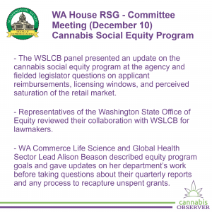 2024-12-10 - WA House RSG - Committee Meeting - Cannabis Social Equity Program - Takeaways