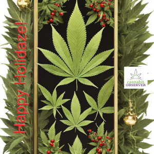 Happy Holidaze - Cannabis Observer